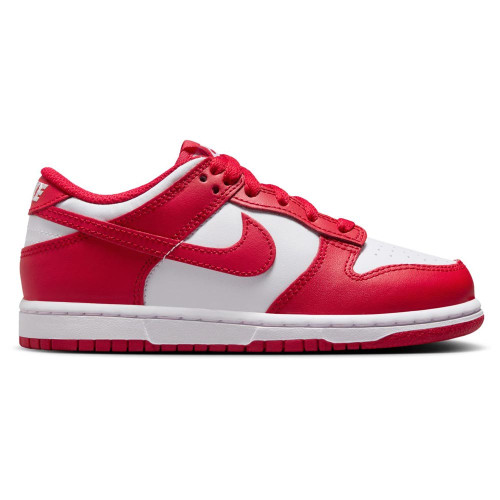 Nike Dunk Low (PSE)